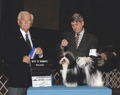 tapscott havanese tapscott b i s havanese tapscott havanese tapscott b i s havanese